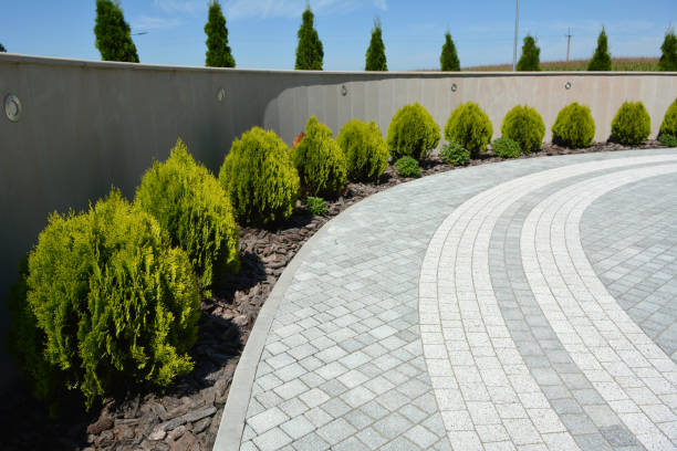 Professional Driveway Pavers in Claryville, KY